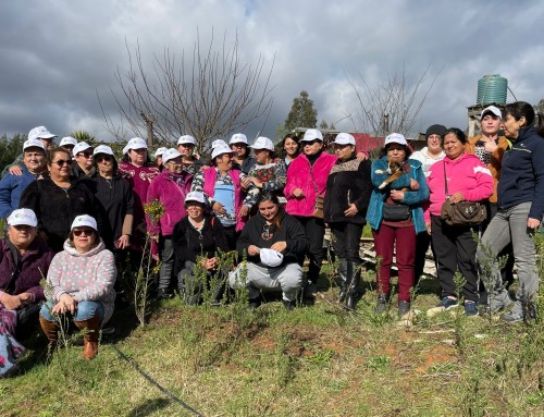 Programa Regenera Biobío se desarrolló en 5 comunas